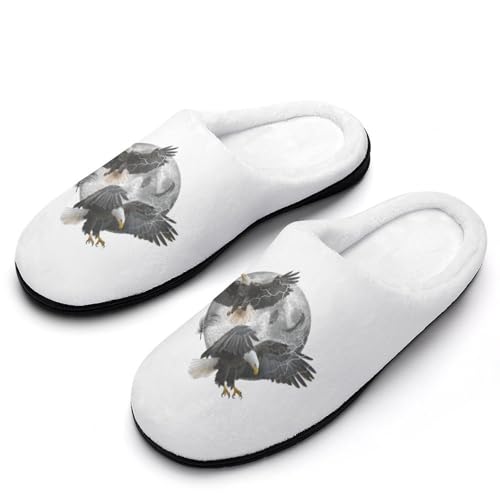 [ZKCASA] Xbp h  [V[Y   qp h  g 􂦂 ~ jp I[V[Yp 9-10i40-41j