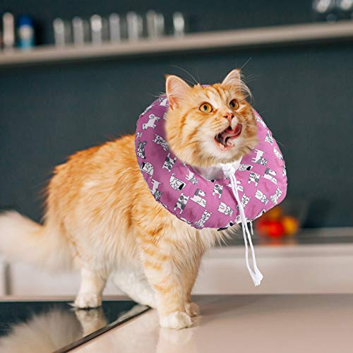 POPETPOP Gato Colarinho Colarinho Cão Gatinho Colar De Recuperação de Recuperação da Cirurgia a Cica