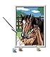 Ravensburger CreArt 28326 - Pferd mit Fohlen - Malen nach Zahlen Pferde ab 7 Jahre, Malset mit Rahmen, Pinsel und Acrylfarben, Geschenk für Mädchen und Jungen, mit Stickern