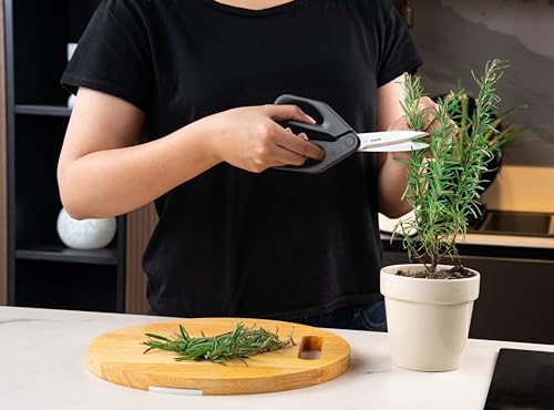 Image of Zyliss Household Scissors - Multi-Purpose Stainless Steel Kitchen & Home Shears with Built-in Box Cutter - Wheat Straw Handle, Dishwasher Safe, Everyday Cutting Tool, 5-Year Guarantee