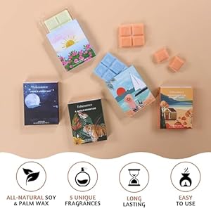 Folkulture Wax Melts Wax Cubes Strong Scent, Set of 5 Scented Wax Melts (30pc), Candle Warmer Wax Melts or Candle Wax Melts, Soy Wax Melts for Warmer, Candle Melts, Pumpkin Wax Melts Folkulture Wax Melts Wax Cubes Strong Scent Set of 5 Scented Wax Melts 30pc Candle Warmer Wax Melts or Candle Wax Melts Soy Wax Melts for Warmer Candle Melts Pumpkin Wax Melts