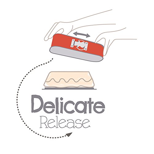 TefalJ-Delibake-1640314-Cake-Mould-with-Hinge-30-x-11-cm-RedGrey