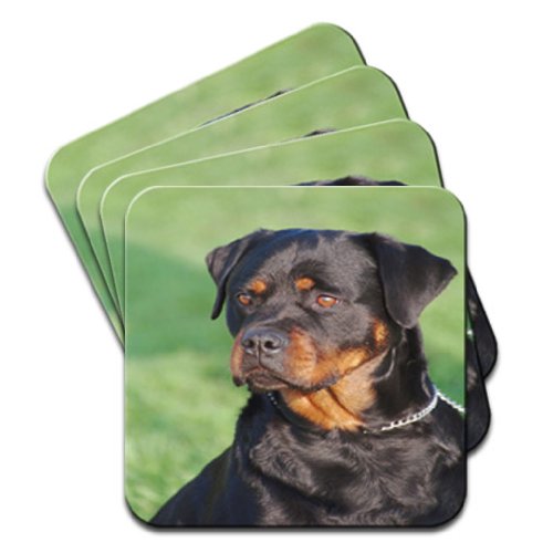 Rottweiler Dog Set of 4 Coasters