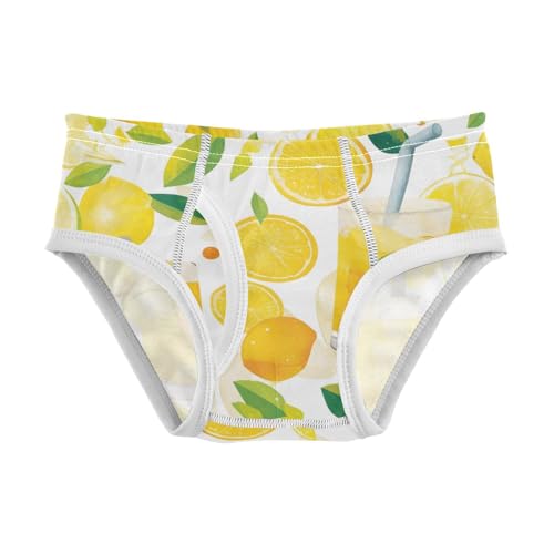 KLL Summer Small Fresh Watercolor Boys Toddler Soft Briefs Underwear Cute Undies