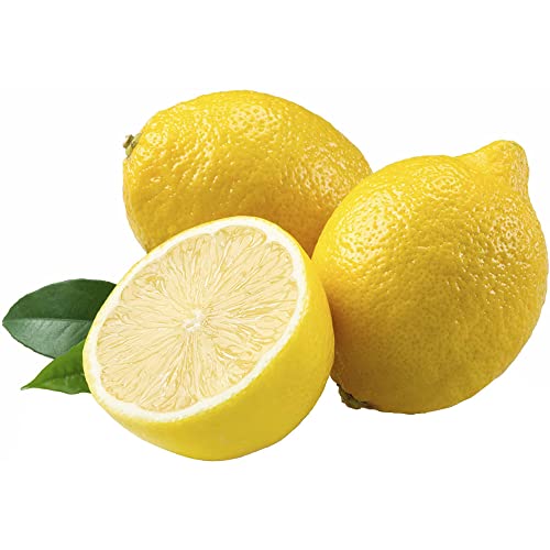 Muda De Limão Siciliano Enxertado Para Produzir Exótico