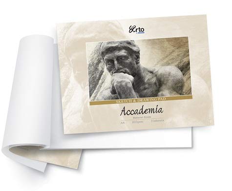 CAMPAP Arto x Fabriano Accademia Sketch & Drawing Paper, (200gsm, A4, Pad) (B07Y5FSBN9) Amazon Price History, Amazon Price Tracker