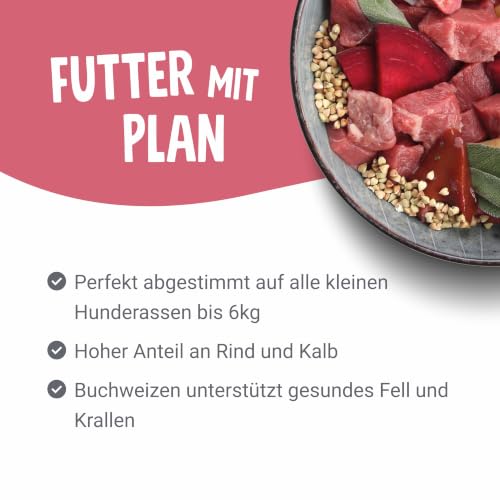 Pets Deli Mini Nassfutter für Hunde mit Rind, 16x100g