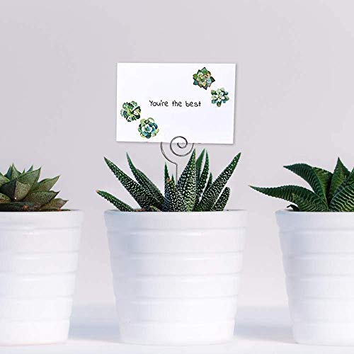 Hohiya 50Pc Floral Card Holder Pick Stick Wire Clip Photo Picture Centperieces Memo Note Clamp Clay Cake Accessories 5 Inch #TOP5