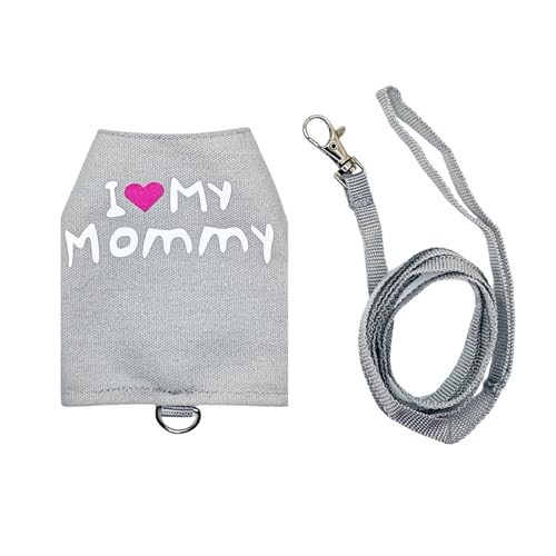 Laisses De Lézard – Fournitures Réglables Pour Animaux De Compagnie, Harnais De Reptiles En Toile Lumineuse Et Respirante Pour La Marche, Le Camping, Les Voyages Nocturnes En Plein Air, Les Sorties Qu