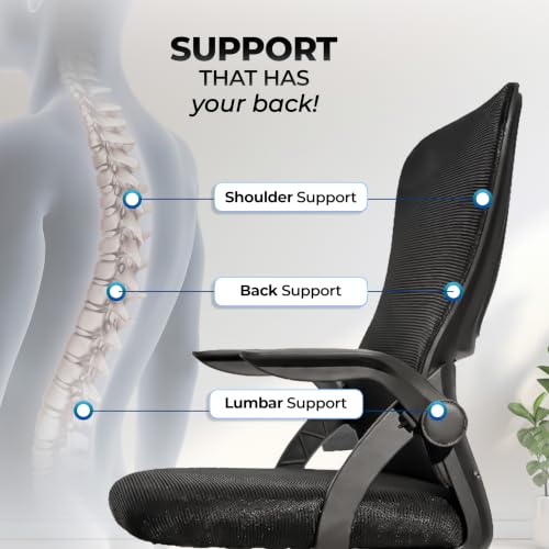 Image of HAVAI Aero Ergonomic Office Chair with Reclining & Folding Back | Net Cloth Fabric | 60D Recycled Foam + 24D Virgin Cotton | Class 2 Gas Lift | Nylon Base & Wheels (Black)