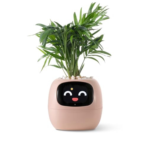 PLANTSIO Ivy - Maceta inteligente para decoración del hogar, plantas, compañero,...