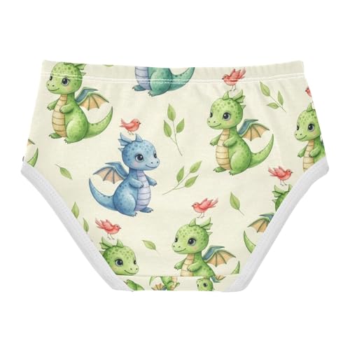 Cute Dragons Green Blue Toddler Girl Undies, Kids Underwear, 2T–8 Years2