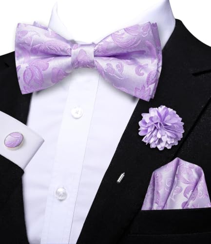 Image of Dubulle Mens Paisley Striped Bowtie Set Pre-tied Bowtie for Men and Pocket Square Set Wedding Business