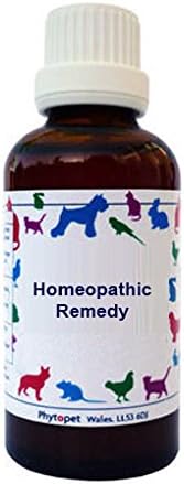 Cantharis (Spanish Fly) 6c