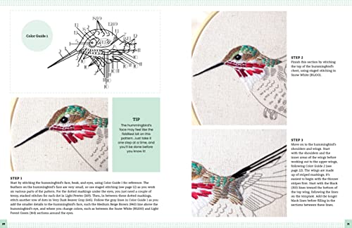 Embroidery Made Easy: Beautiful Birds: Easy Techniques for Learning to Embroider a Variety of Colorf