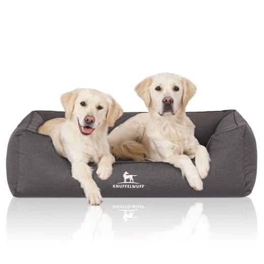 Knuffelwuff Orthopädisches Wasserabweisendes Hundebett Leon XXL Anthrazit