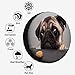 Pug Spare Tire Cover for RV Trailer Cute Sad Pug Looking at a Cookie Wheel Protectors Weatherproof Polyester Tire Case for All Cars SUV Camper Travel 15 inch