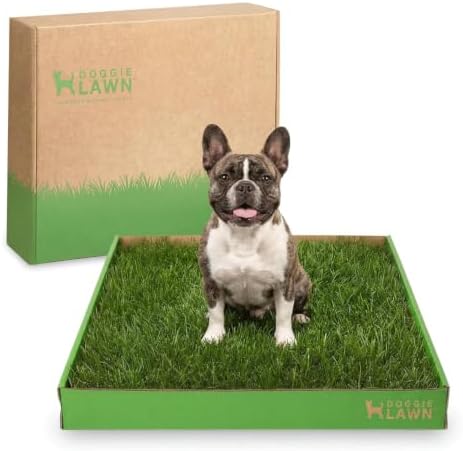 DoggieLawn Real Grass Dog Pee Pads - Medium Dog Potty Pad 24x20