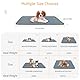 Maxetodo Waschbar Welpen Unterlagen Haustier 2pcs 79*92cm Trainingspads PIPI Matten für Hunde Wiederverwendbare Urinunterlage Schnell Absorbierend Puppy Pads rutschfest für Katze Trächtige Hündinnen