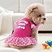 XPUDAC 4 Pack Pet Dog Dress Dog Clothes Girl Puppy Shirt Yorkie Clothes Cute Doggie Dress Pet Apparel for Small Dogs and Cats (Pink Angel, Small(4.5-8lbs))