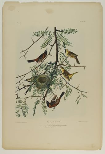 Cuadro decorativo Orchard Oriole de 60x90cm: dale un toque natural y clásico a tu salón