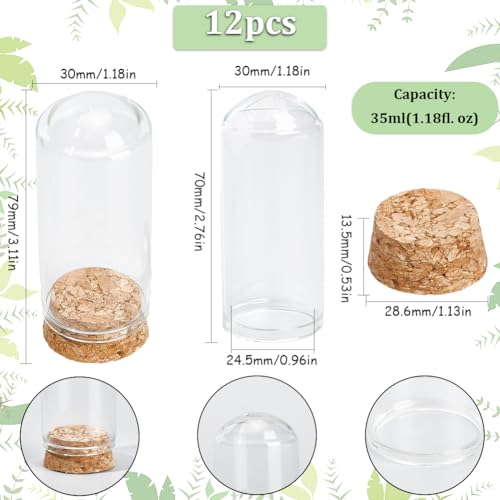 SUNNYCLUE 12Pcs Mini Cloche Glass Dome 30x70mm Dome Glass Jars with Cork Base Clear Glass Display Dome Cloche Bell Jar Small Glass Bell Jars for Flower Storage Home Christmas Party Favor Decor - Image 2