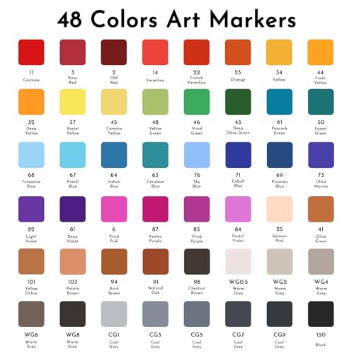 ABEIER 48 Farben Alkohol Stifte Set, Schnell Trocknende Alkohol Marker, Doppelseitige Marker Stifte, Meißel & Feine Alkoholmarker für Malerei, Zeichnen, Design, Manga, Permanentmarker mit Tragetasche