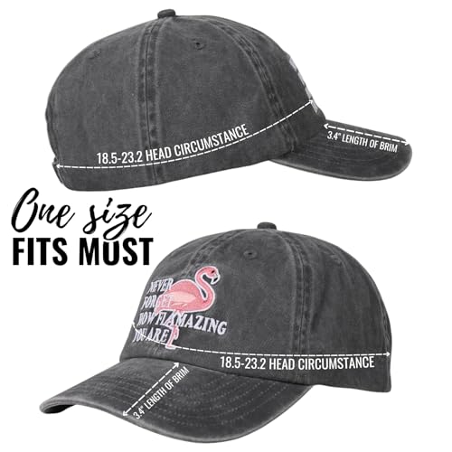 Image of InnoBeta Flamingo Gifts for Women Flamingo Lovers, Adjustable Vintage Baseball Cap Washed Cotton Embroidered Hat