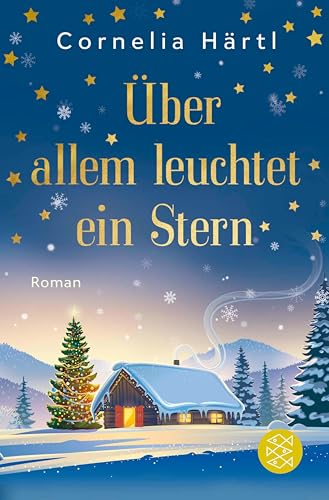 Über allem leuchtet ein Stern: Ein Winterwunder-Roman (German Edition)