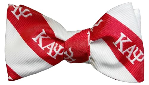 Set de corbata de moño y pañuelo a rayas rojo/blanco miniatura 3