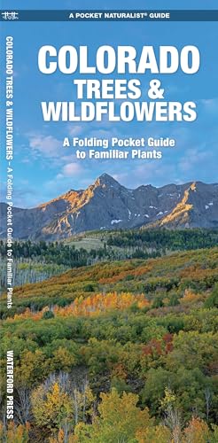 Colorado Trees & Wildflowers (Nature Observation North America)