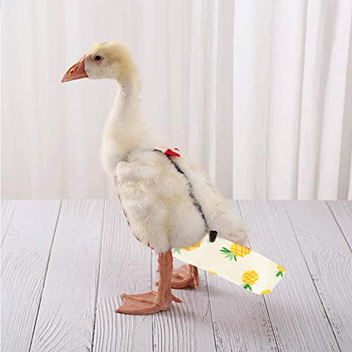 TIANTIAN Pannolini per animali domestici lavabili