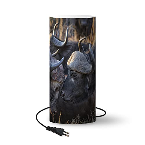 IWEJ ^J × ؐǊ|nK[ VvfUC^IbN Ǖt[bN oX[EGgXp