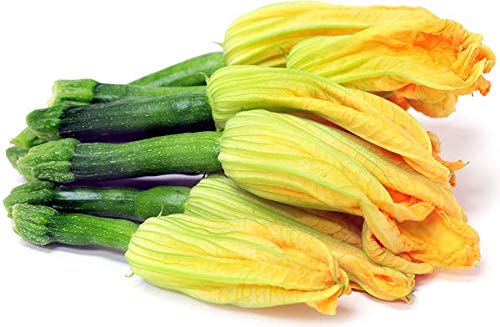 AllThatGrows Zucchini Green Blossoms Edible Flower Garden Seeds Pack of 20 Seeds (B07HKNFTMY) Amazon Price History, Amazon Price Tracker