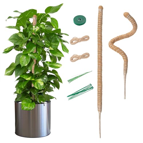Mcbazel 2x70CM Monstera Rankhilfe Kokosfaser Rankhilfe mit Zubehör, Rankhilfe Monstera, Pflanzenstütze für Monstera Stab Kletterpflanzen im Innenbereich,Pothos und Zimmerpflanzen im Topf