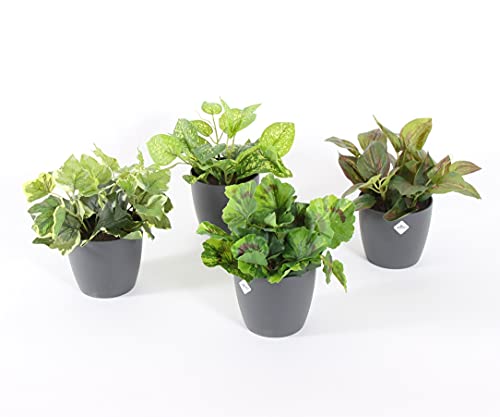 Conjunto de 4 macetas Grises con Plantas con Plantas Artificiales para Uso Interior de 20cm de Altura, Maceta incluida Cover
