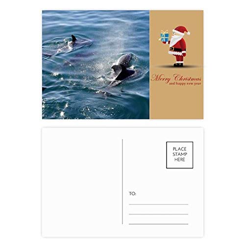 Cartes postales Ocean Killer Whale lot de 20 pour décorer un bureau de vacances