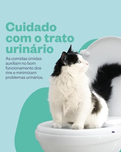 Petisco cremoso Truly Salmão e Bacalhau Pote 30 tubos de 14g