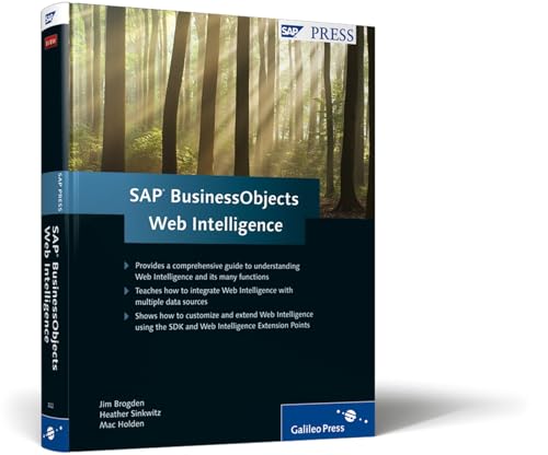 SAP BusinessObjects Web Intelligence view 2