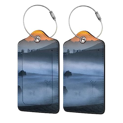 Lot de 4 étiquettes de bagage familiales Tea Field en cuir synthétique pour voyage