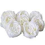 FANFLONA Silk Flowers in Bulk Wholesale 60 Flower Heads Silk Tea Rose Artificial Peony Flower Heads (Cream White)