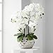 Dahlia Studios Potted Faux Artificial Flowers Arrangements Realistic White Phalaenopsis Orchid in Silver Pot Home Decoration Living Room Office Bedroom Bathroom Kitchen Dining Room 23