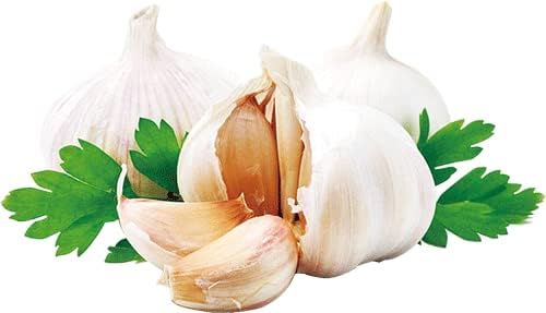 イエローサフランBCG 2g&times;60包