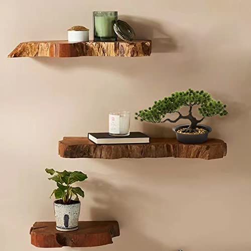 Artificial Plants Bonsai Pine Tree, Artificial House Welcoming Pot Plants, Japanese Pine Desktop Display Simulation, Living Room, Zen Garden Decoration Decor (Zen) #TOP2