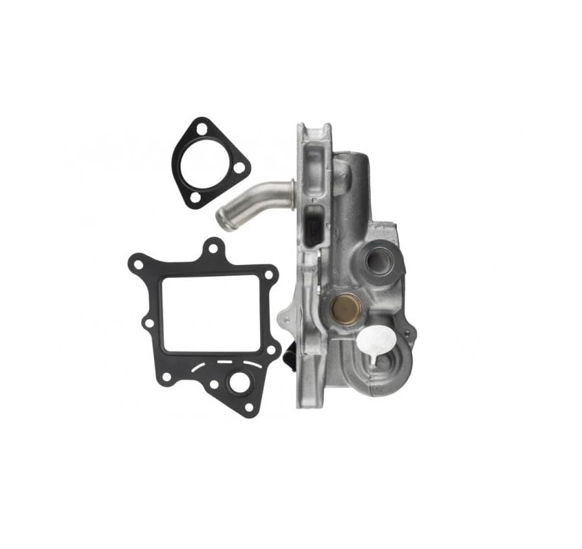 Valvola EGR Ricircolo Gas di Scarico 2.3 D 3.0 D per Jumper II Ducato III Boxer Reambio OEM 71795127 504373660 71795169 71795170 162645 V24630030 717730165