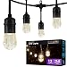 Enbrighten Classic LED Cafe String Lights, Black, 24 Foot Length, 12 Impact Resistant Lifetime Bulbs, Premium, Shatterproof, Weatherproof, Indoor/Outdoor, Commercial Grade, UL Listed, 31662
