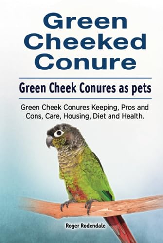 Green Cheeked Conure. Green Cheek Conures as pets. Green Cheek