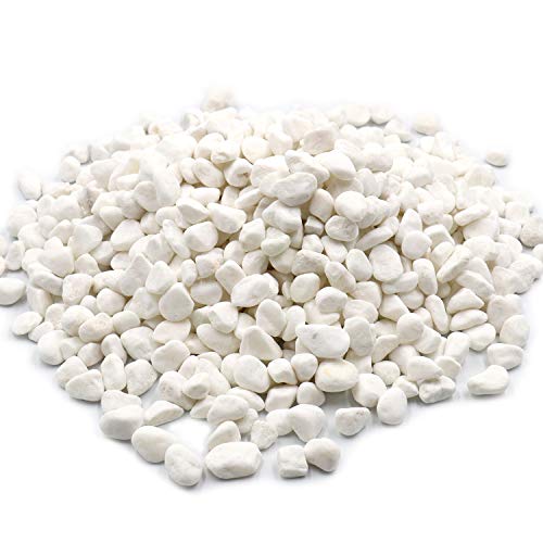 Unpolished White Pebbles 10 Lb. - Â½ inch Bean Pebbles for Plants, Gardens, Fish Tank Gravel, DÃ©cor, Landscaping, Succulent, Terrarium, 100% Natural Stone Pebbles Decorative Rocks, Matte White Finish