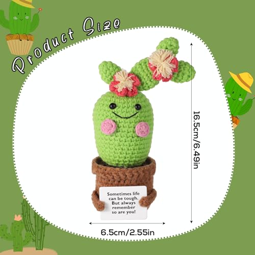 lasuroa Positive Cactus Crochet - Image 2