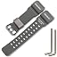 Grey Blackbuckle